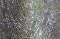 Southborough fibreglass roof work